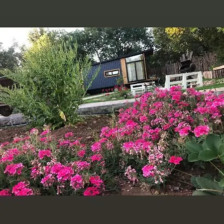 Pensión Tiny House Kumquat 4*