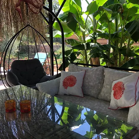 Tiny House Kumquat بيت ضيافة