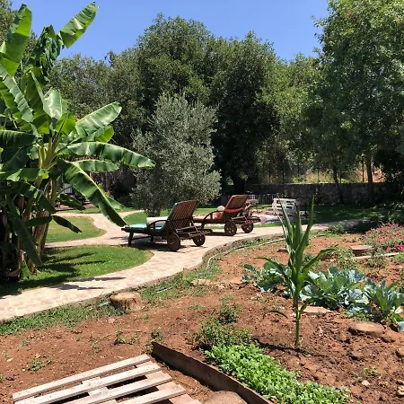 Tiny House Kumquat Guest house Kayakoy