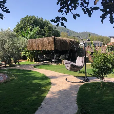 Pensiune Tiny House Kumquat 4*